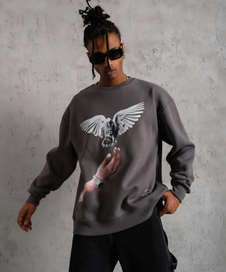 Erkek Güvercin Baskılı Sweatshirt - Gri